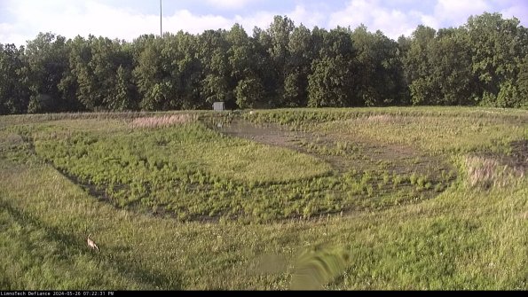 Cell 4_24-05-26_19-22-32-35