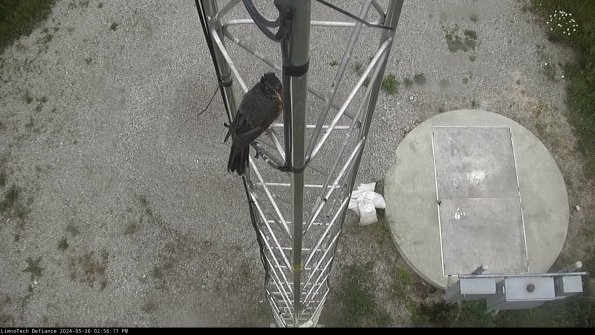 Hatch_24-05-26_14-56-18-33