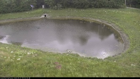 Basin Right_24-05-27_09-54-39-34