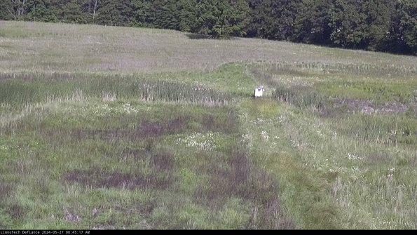 Cell 1 to 2_24-05-27_08-45-18-32