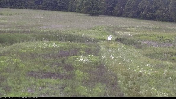 Cell 1 to 2_24-05-27_09-52-17-33