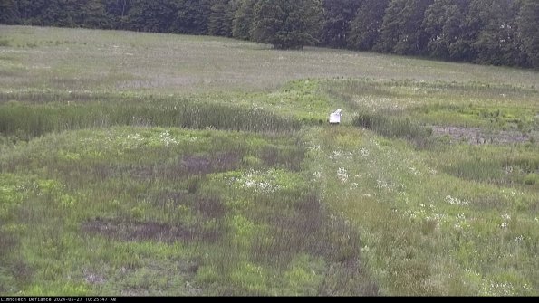 Cell 1 to 2_24-05-27_10-25-48-32