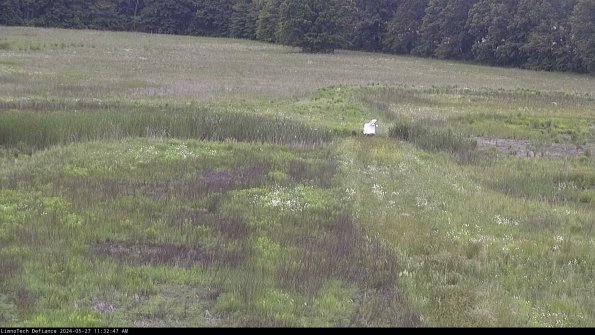 Cell 1 to 2_24-05-27_11-32-48-32