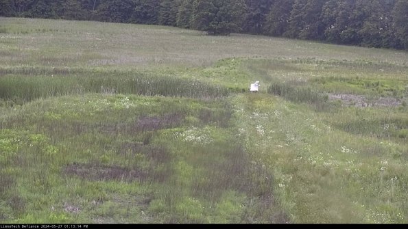 Cell 1 to 2_24-05-27_13-13-15-34