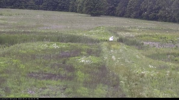 Cell 1 to 2_24-05-27_14-53-42-34