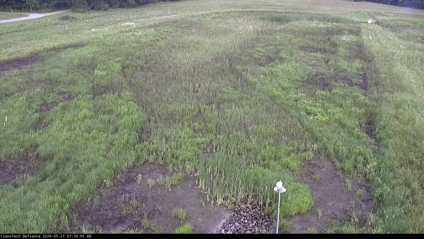 Cell 1_24-05-27_07-38-06-33