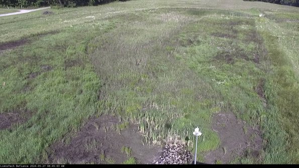 Cell 1_24-05-27_08-45-04-34