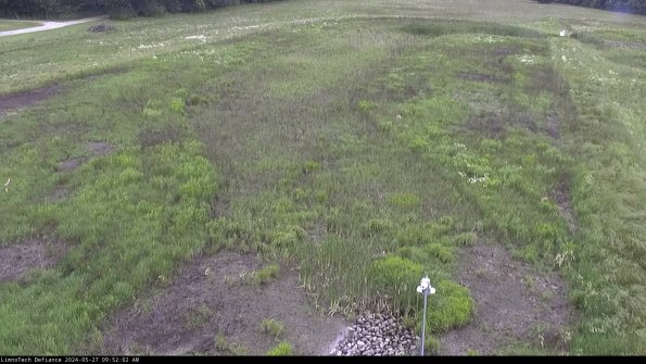 Cell 1_24-05-27_09-52-03-31