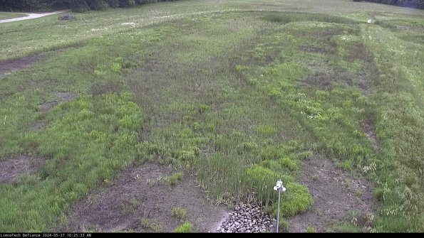 Cell 1_24-05-27_10-25-34-34