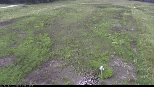 Cell 1_24-05-27_13-46-31-35