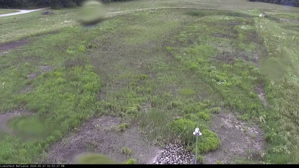 Cell 1_24-05-27_14-53-28-32