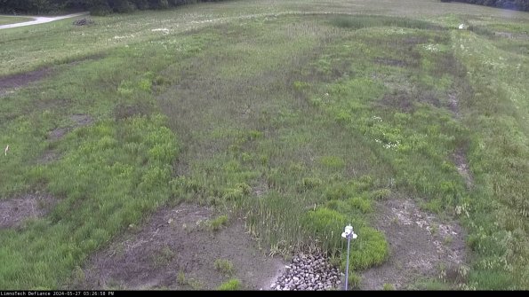 Cell 1_24-05-27_15-26-59-34