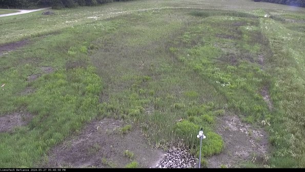 Cell 1_24-05-27_17-40-59-32