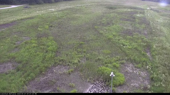 Cell 1_24-05-27_19-21-26-31