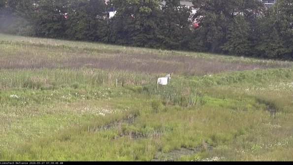 Cell 2 to 3_24-05-27_07-38-46-51