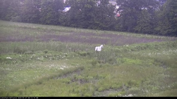 Cell 2 to 3_24-05-27_08-12-16-40