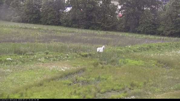 Cell 2 to 3_24-05-27_10-26-14-48