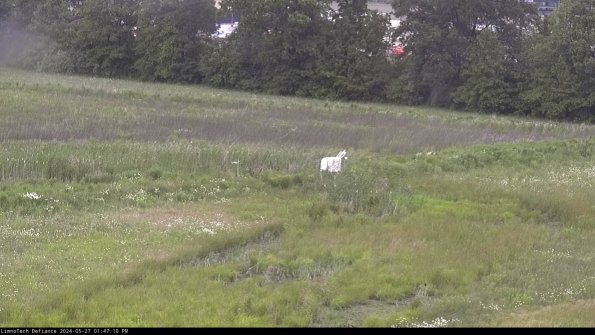 Cell 2 to 3_24-05-27_13-47-11-43