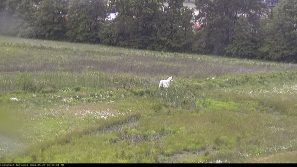 Cell 2 to 3_24-05-27_14-54-08-43