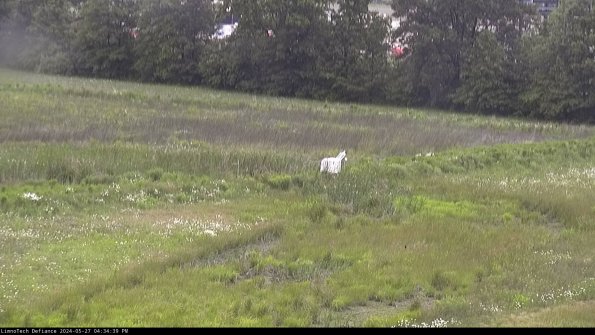 Cell 2 to 3_24-05-27_16-34-39-45