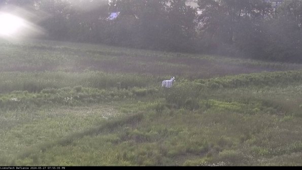 Cell 2 to 3_24-05-27_19-55-35-44