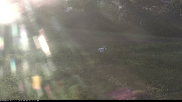 Cell 2 to 3_24-05-27_20-29-05-42