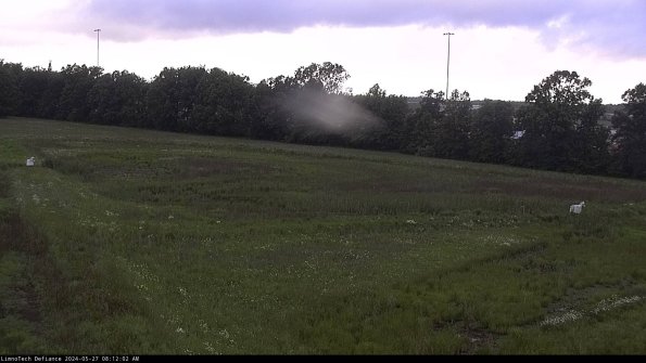 Cell 2_24-05-27_08-12-03-35