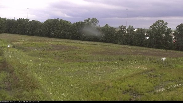 Cell 2_24-05-27_09-19-01-32