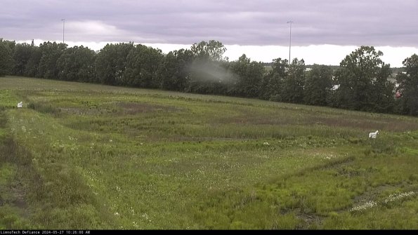 Cell 2_24-05-27_10-26-01-33