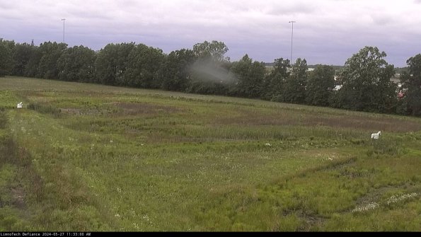 Cell 2_24-05-27_11-33-01-40