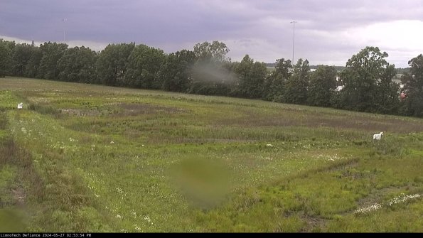 Cell 2_24-05-27_14-53-55-35