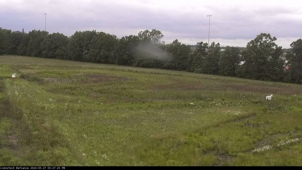 Cell 2_24-05-27_15-27-26-34