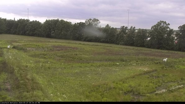 Cell 2_24-05-27_16-34-26-34