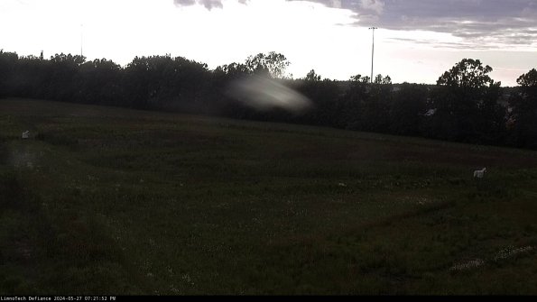 Cell 2_24-05-27_19-21-53-34