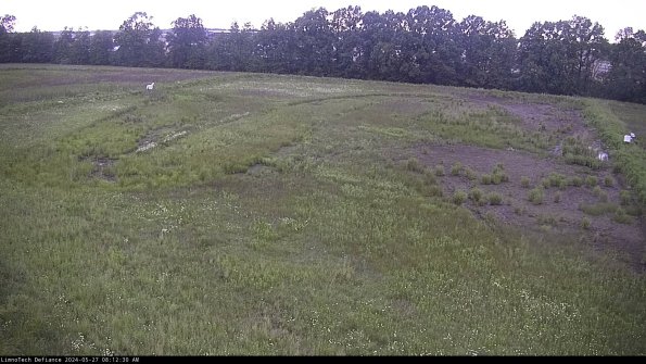 Cell 3_24-05-27_08-12-30-51