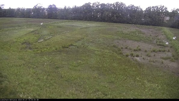 Cell 3_24-05-27_10-59-59-31