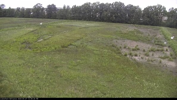 Cell 3_24-05-27_12-40-27-33