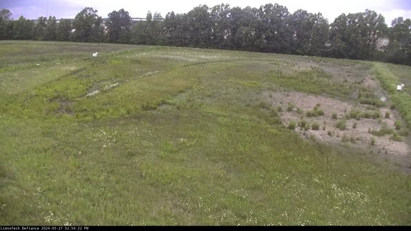 Cell 3_24-05-27_14-54-23-31