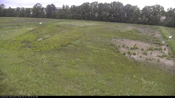 Cell 3_24-05-27_15-27-54-33