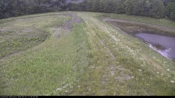 Cell 4 to Basin_24-05-27_11-34-27-35