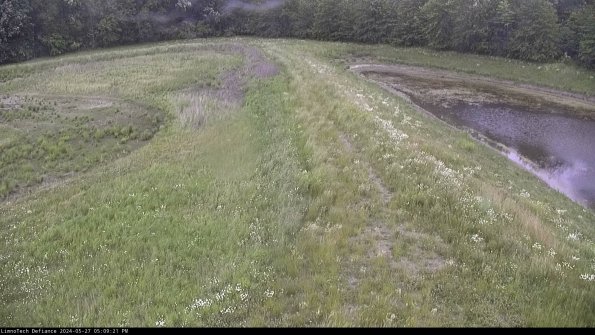 Cell 4 to Basin_24-05-27_17-09-22-31