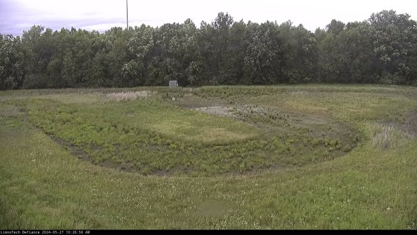 Cell 4_24-05-27_10-26-57-32