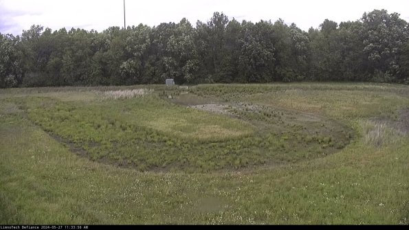 Cell 4_24-05-27_11-33-57-32