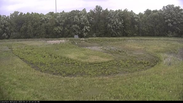 Cell 4_24-05-27_13-47-53-33