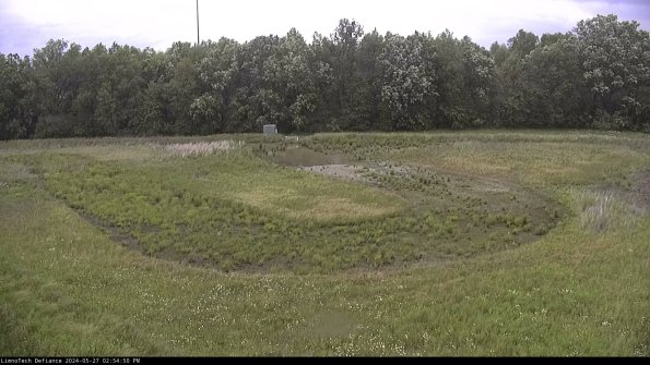 Cell 4_24-05-27_14-54-51-30