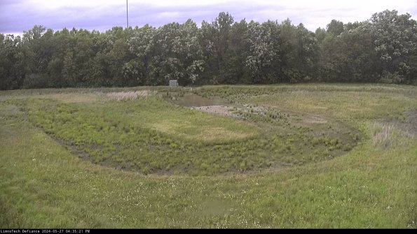 Cell 4_24-05-27_16-35-22-33