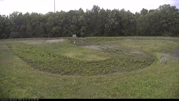 Cell 4_24-05-27_19-22-49-33