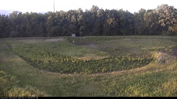 Cell 4_24-05-27_20-29-48-33