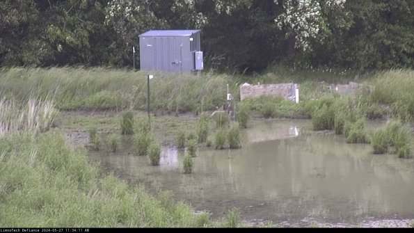 Outlet_24-05-27_11-34-12-34