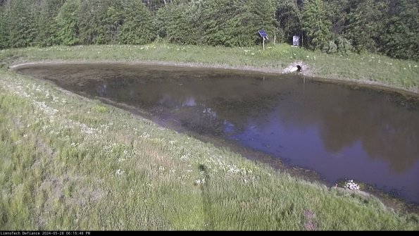 Basin_24-05-28_18-16-46-46